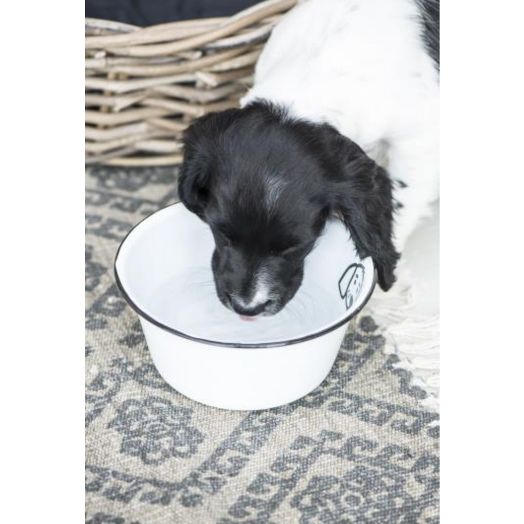 Bowls for Dogs Enamel