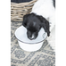 Bowls for Dogs Enamel