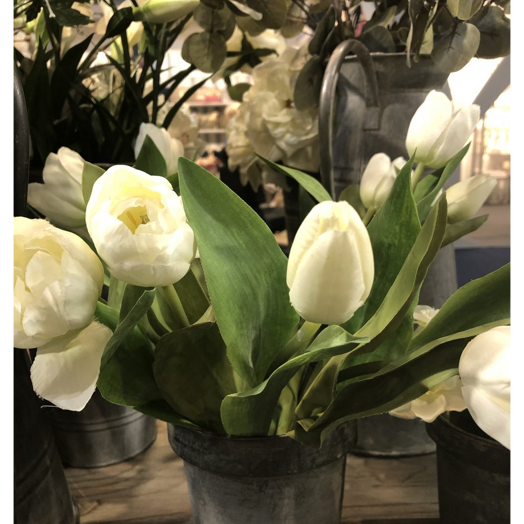 Tulip Mix White 36cm | Annie Mo's