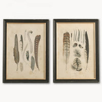 Brockby Set Of Two Framed Feather Wall Art 57cm  | Annie Mo's