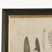 Brockby Set Of Two Framed Feather Wall Art 57cm