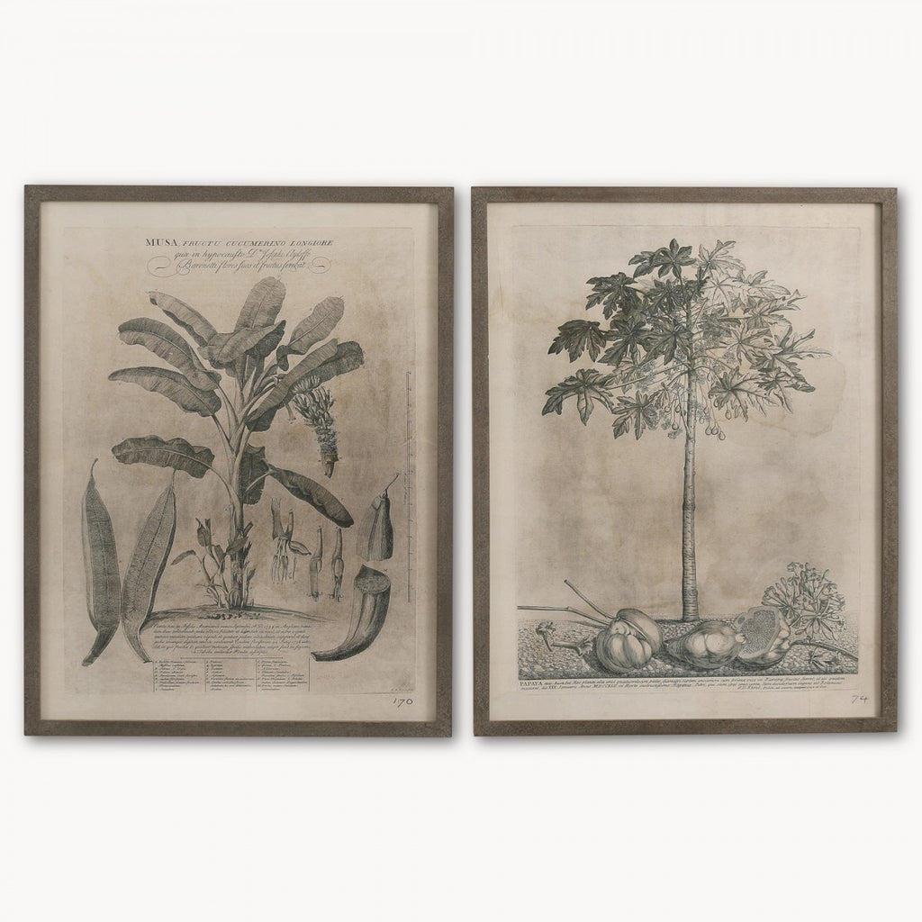 Brockby Set of Two Framed Papaya Wall Art 105cm | Annie Mo's