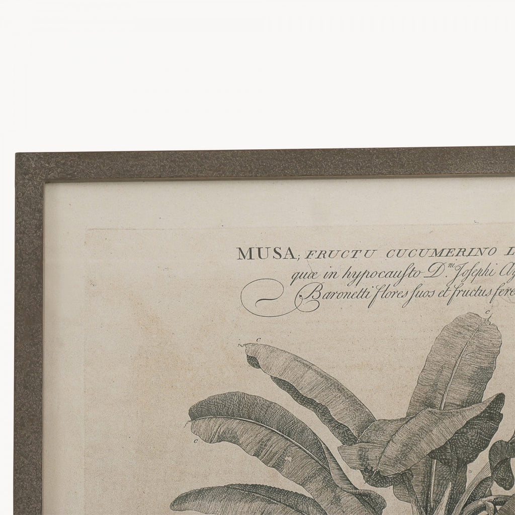 Ormington Set of Two Papaya Framed Prints 105cm