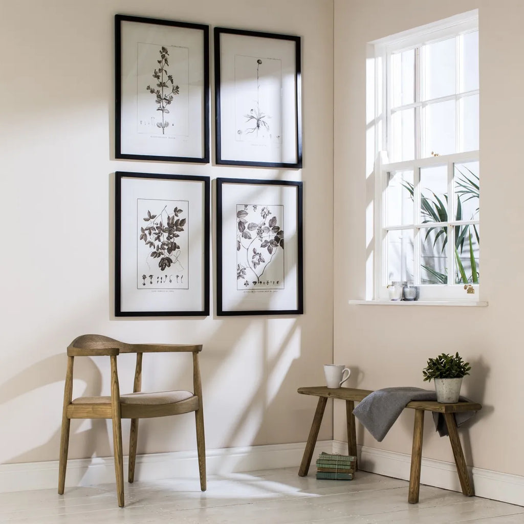 Brockby Set of Two Framed Rufum and Chili Wall Art 73.5cm | Annie Mo's