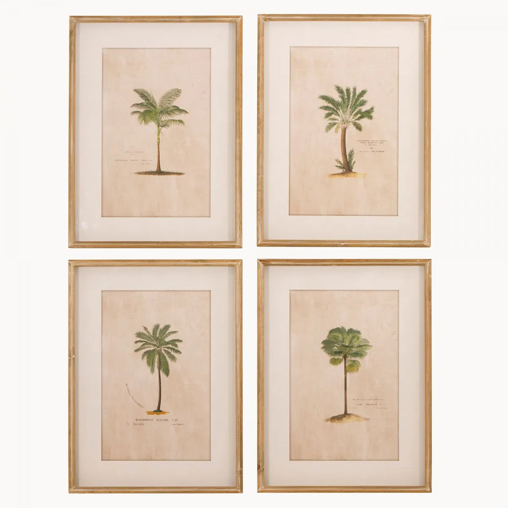 Brookby Set of Four Framed Tropical Wall Art 64.5cm