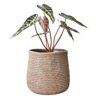 Natural Neutral and Really Nice | Annie Mo's