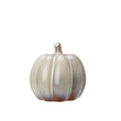 Beige Melange Ceramic Glazed Pumpkins - Size Choice