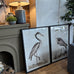 Moreton Set of Two Heron Framed Prints 100cm