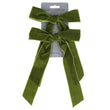 Pack of Two Velvet Hanging Dec 14cm - Green Bow | Annie Mo's