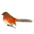 Acrylic Clip-on Dec 11cm - Feather Robin | Annie Mo's