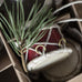 Red Mini Hanging Drum 5cm