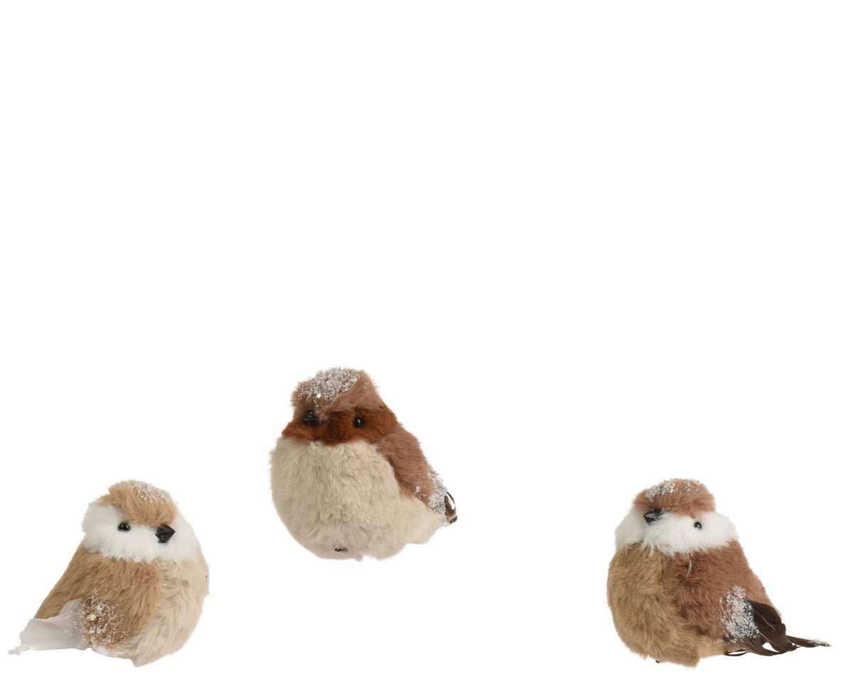 Three Assorted Cute Birds 11cm | Annie Mo's