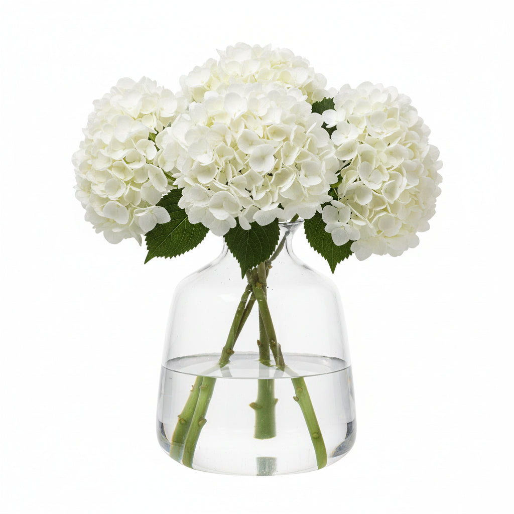 Hydria Glass Vase 31cm | Annie Mo's