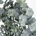 Small Frosted Eucalyptus Candle Wreath 25cm
