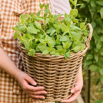 Wicker Basket with plastic liner 30cm