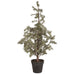 Artificial Cedar Christmas Tree in Plastic Black Pot 120cm | Annie Mo