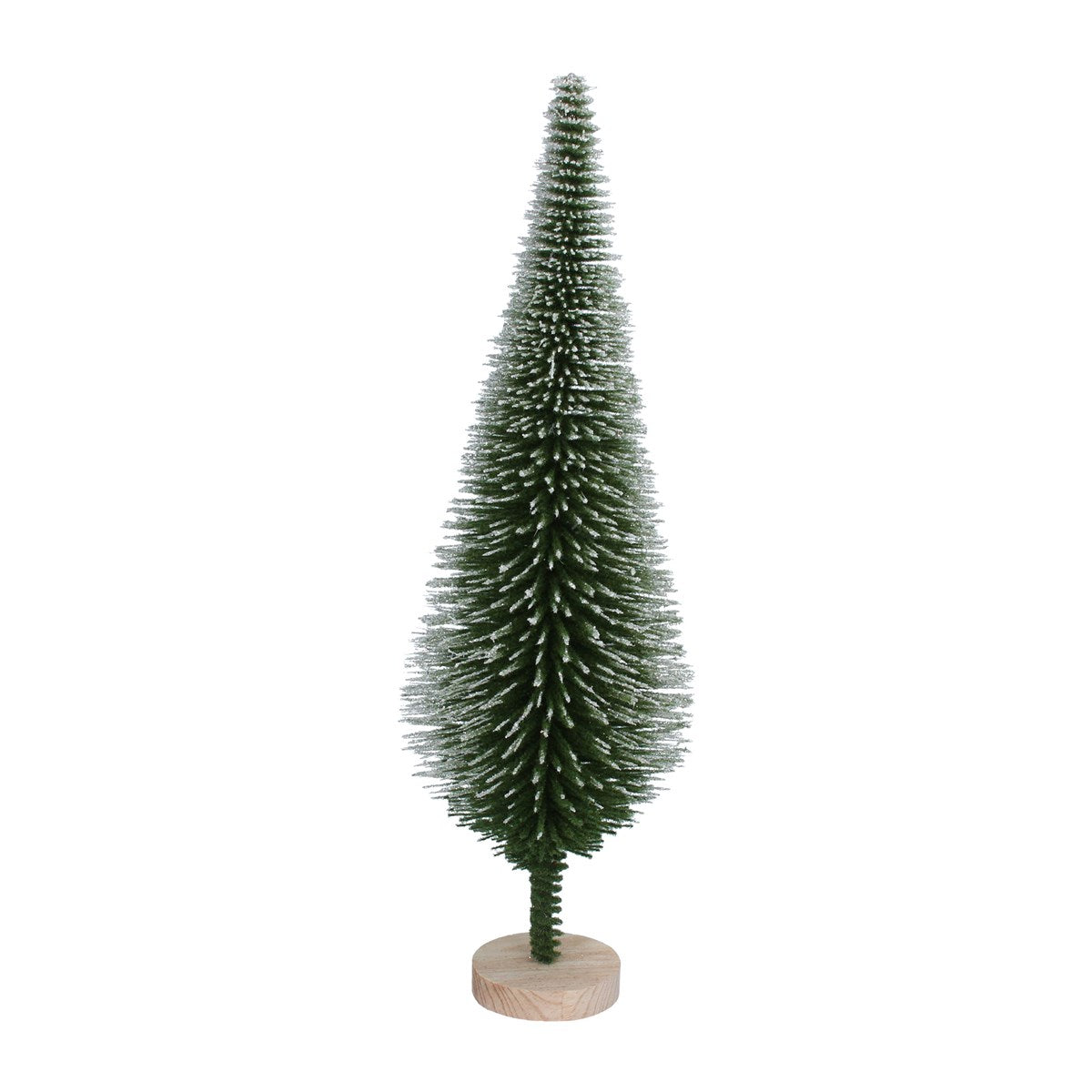Large Green and White Bristle Conifer 
