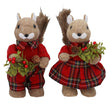 Mr and Mrs Squirrel with Tartan 28cm - Style Choice