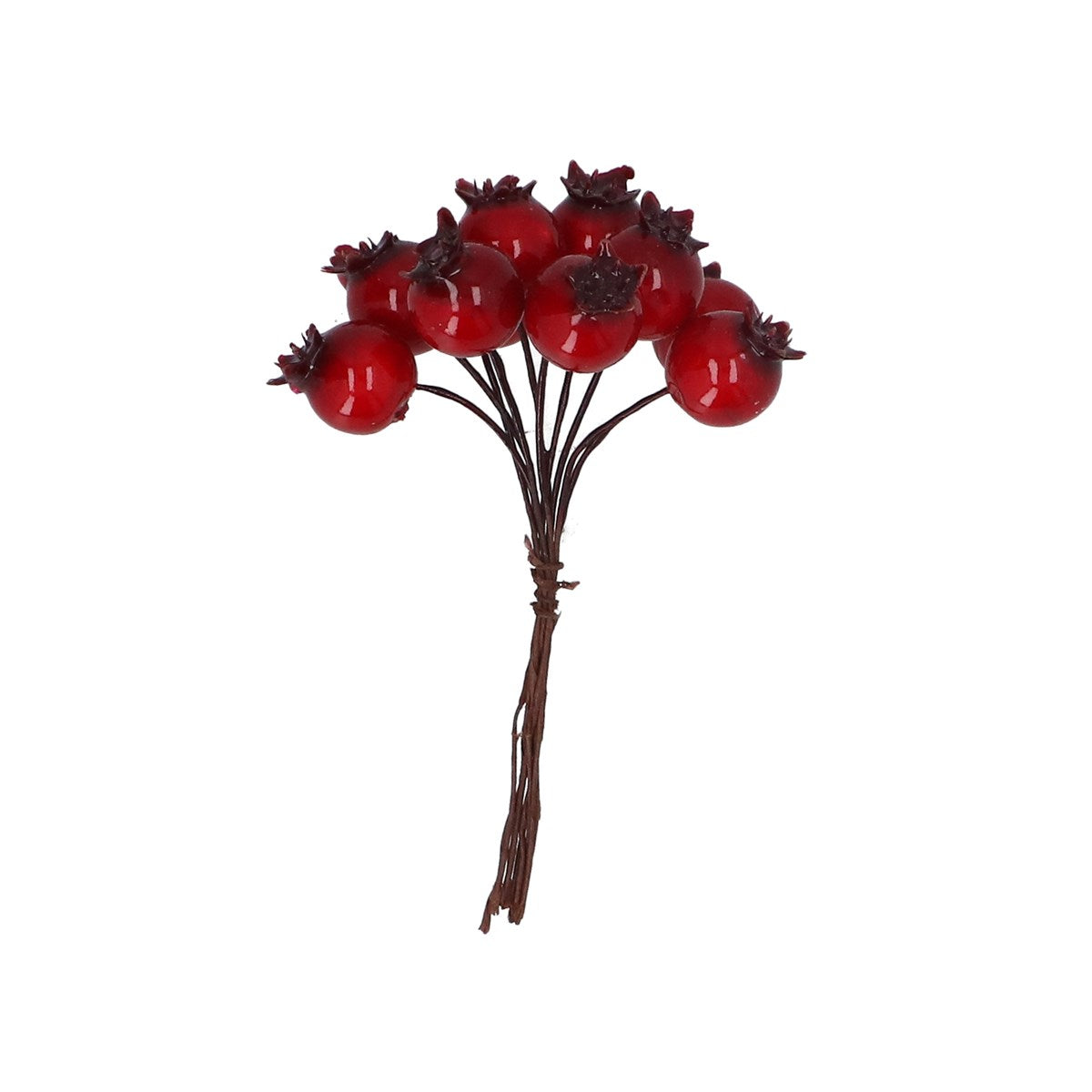 Shiny Red Rosehip Berry Sprig
