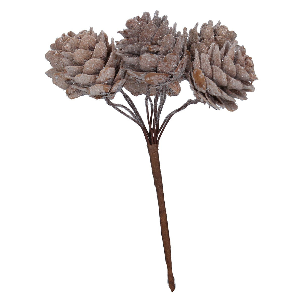 Frosted Natural Cone Pick