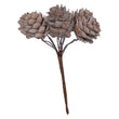 Frosted Natural Cone Pick