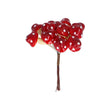 Pick 12cm - Toadstool Bunch | Annie Mo's