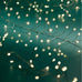 Micro LED Compact 480 LED's with 8 Function Twinkle Effect 600cm 