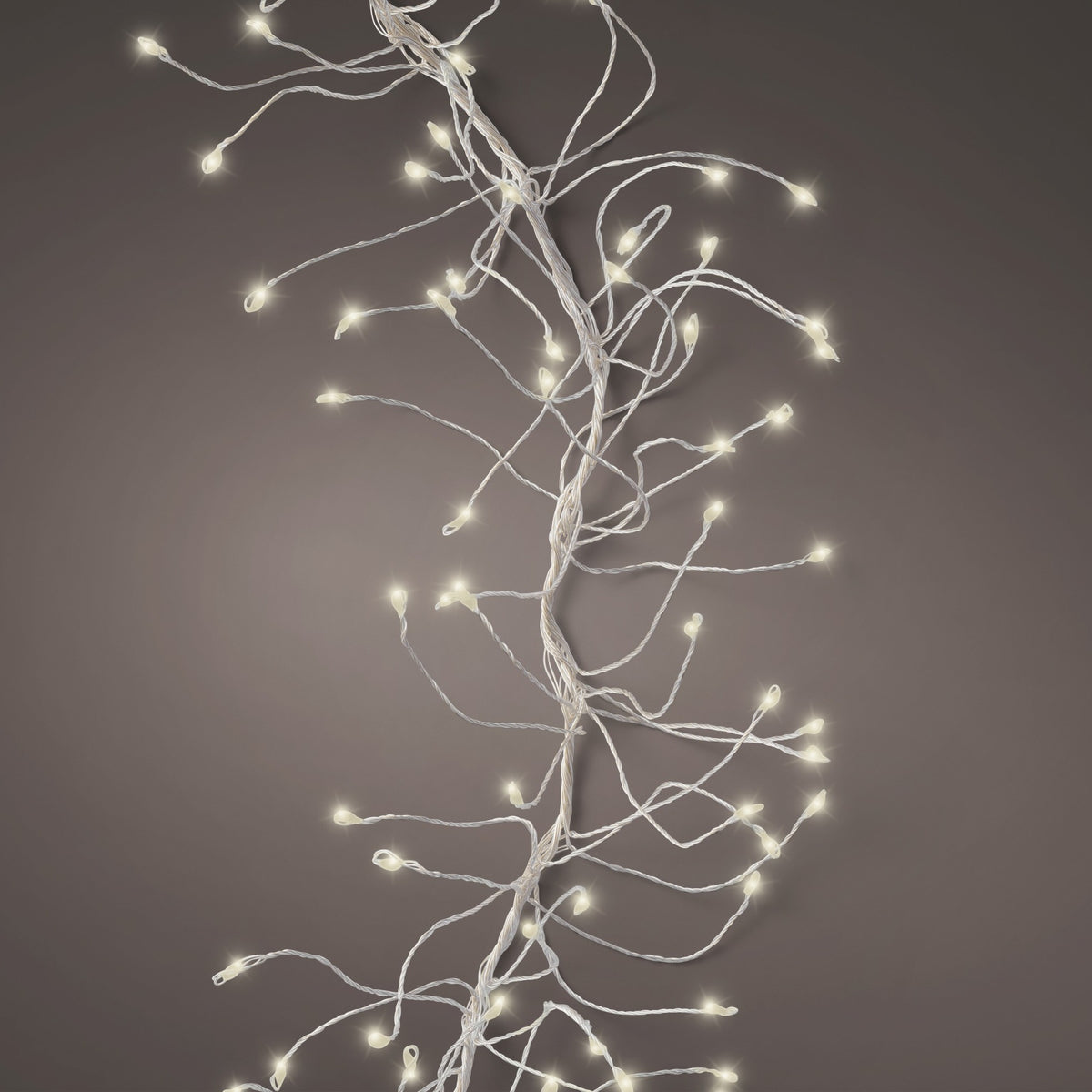 Micro LED with 960 cluster lights with Twinkle Effect 600cm B | Annie Mo's