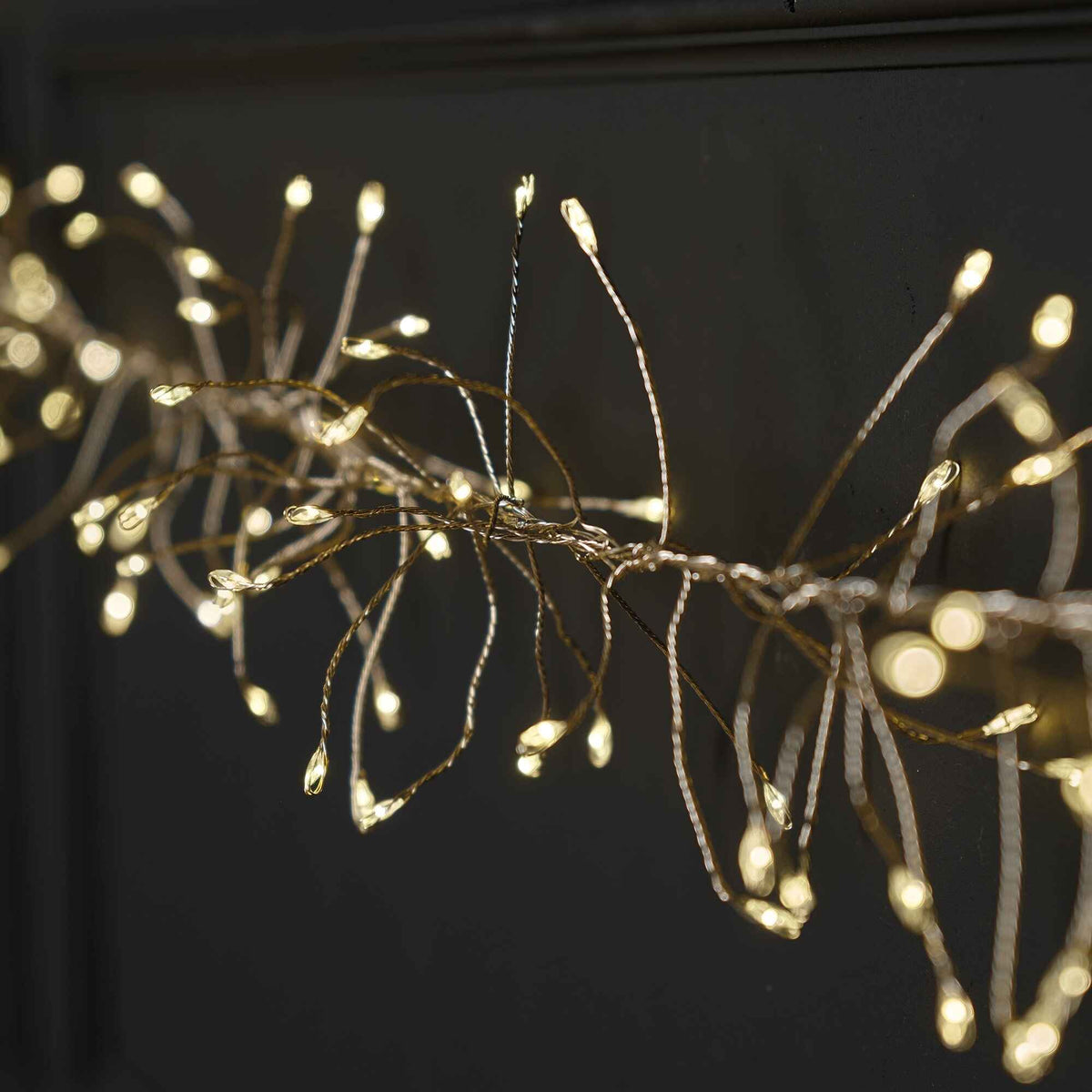 Micro LED with 960 cluster lights with Twinkle Effect 600cm | Annie Mo's