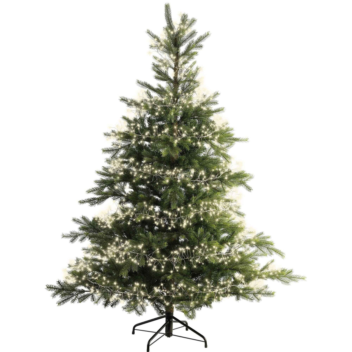 Micro LED with 960 cluster lights with Twinkle Effect 600cm E | Annie Mo's