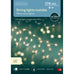 Micro LED Extra Dense Lights with 8 Function Twinkle Effect 600cm