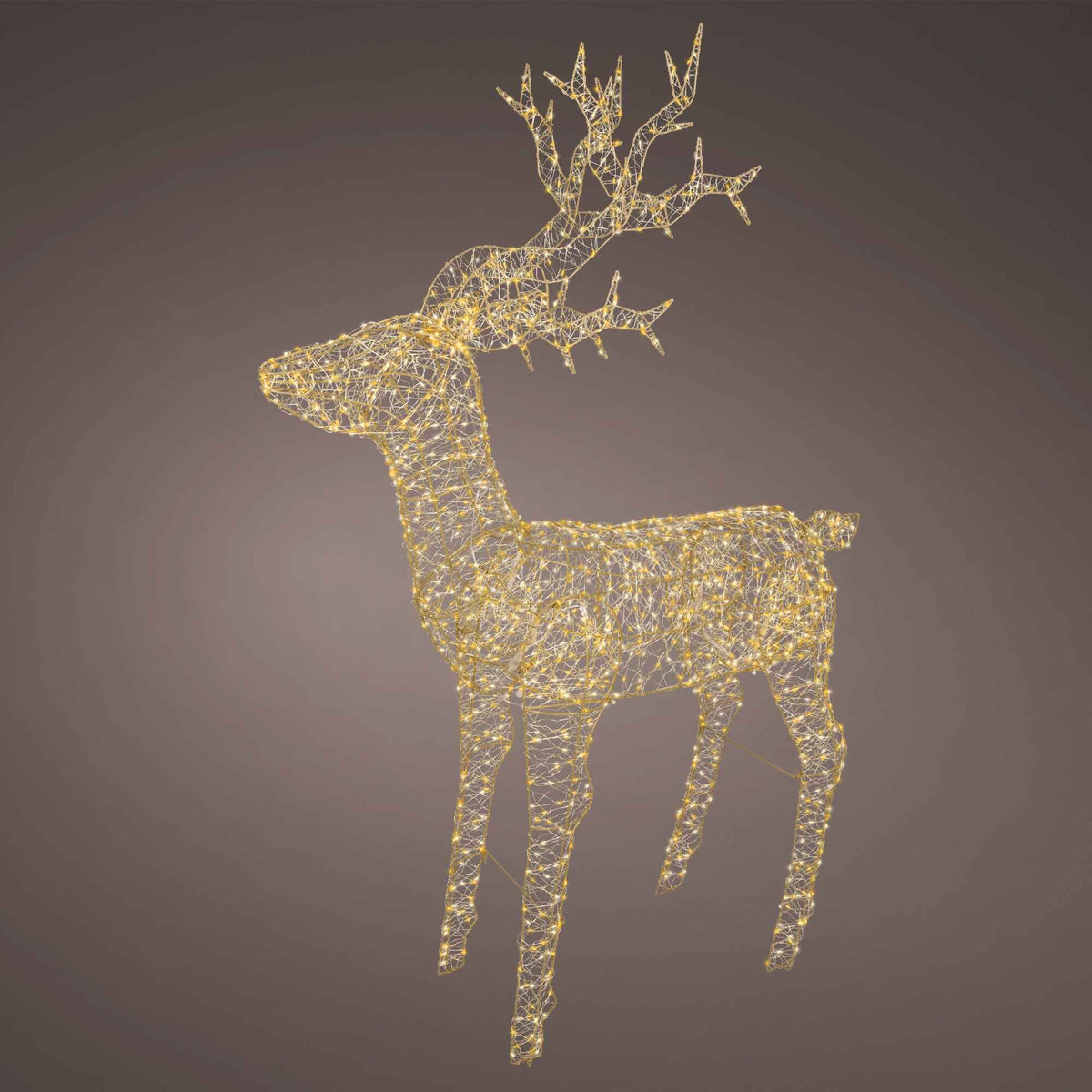 Micro LED Reindeer 162cm x 122cm| Annie Mo's