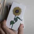 Solros Large Matchbox | Annie Mo's 