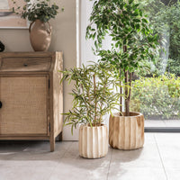 Flores Scallop Pots - Size Choice | Annie Mo's