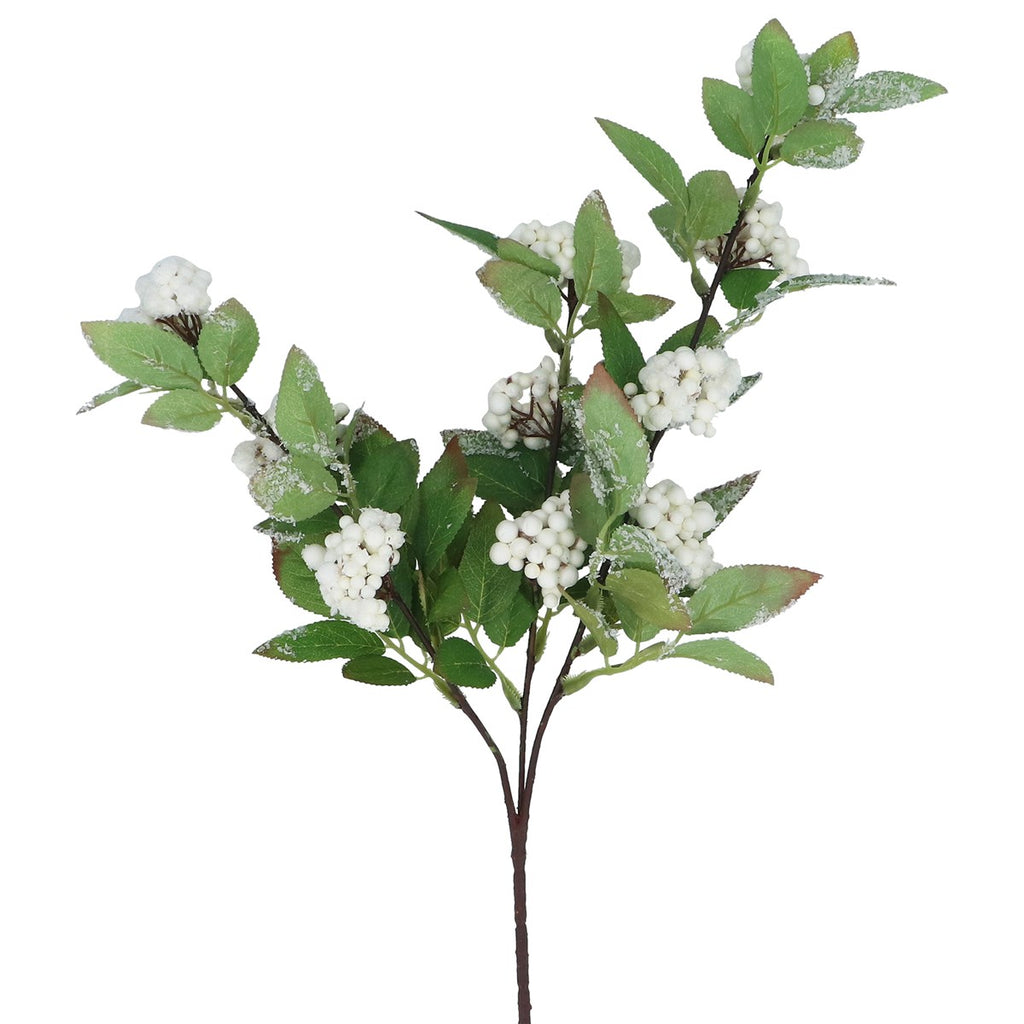 White Berries with Silver Tipped Foliage Stem 65cm | Annie Mo's