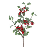 Red Berry with Frosted Mini Eucalyptus Stem 52cm | Annie Mo's