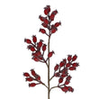Red Rosehip Spray