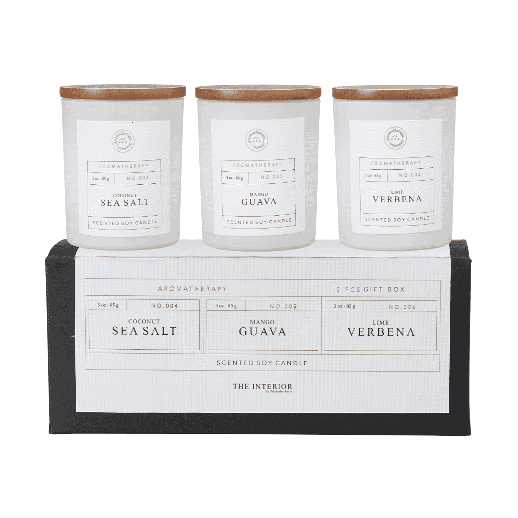 Gift Set of Three Candles -Coconut Sea Salt, Mango Guava, Lime Verbena