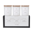 Gift Set of Three Candles -Coconut Sea Salt, Mango Guava, Lime Verbena
