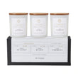 Gift Set of Three Candles -Coconut Sea Salt, Mango Guava, Lime Verbena | Annie Mo's