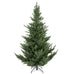 Norway Spruce with Metal Stand 240cm | Annie Mo's