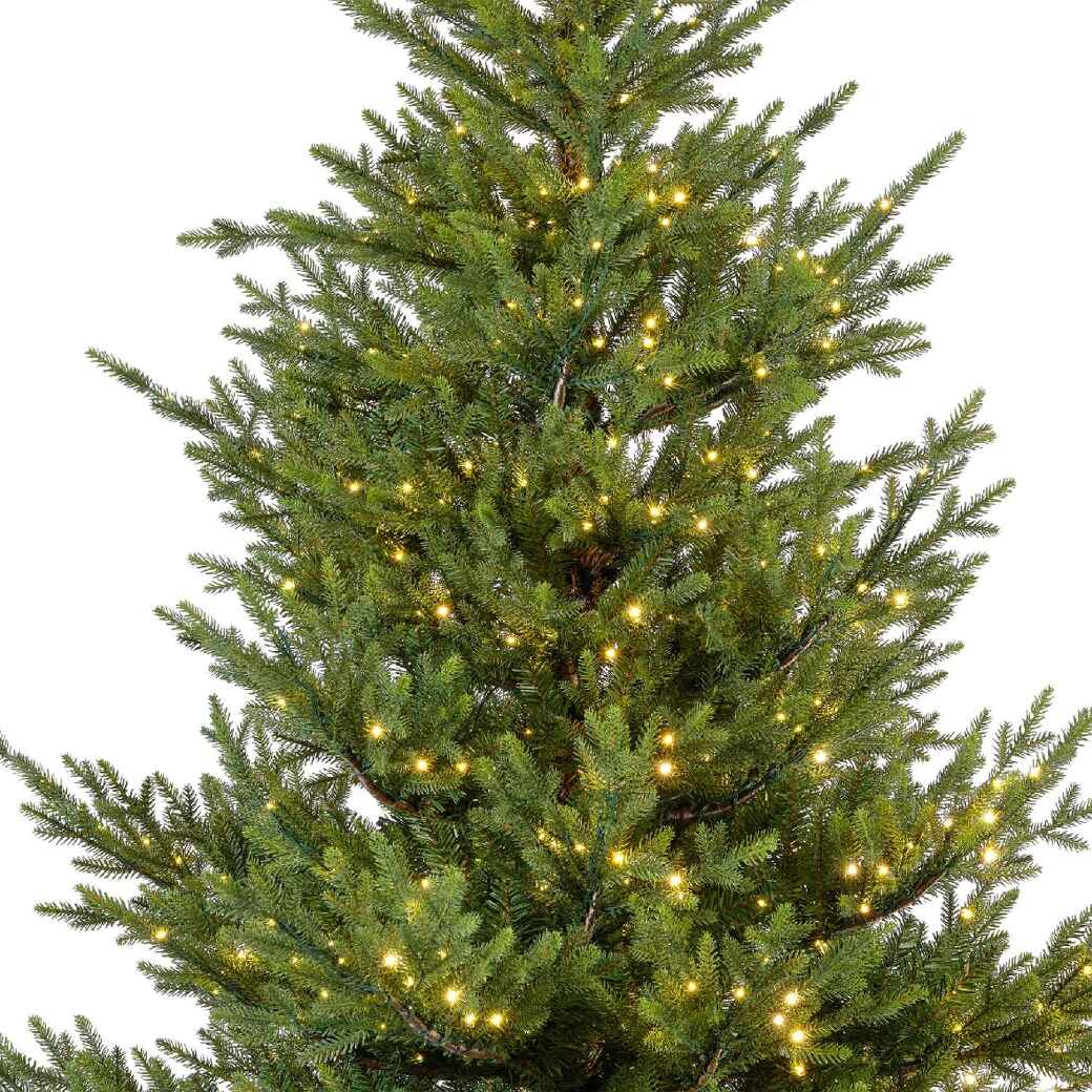 Norway Spruce Micro LED 180cm D | Annie Mo's