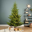 Norway Spruce Micro LED 180cm | Annie Mo's