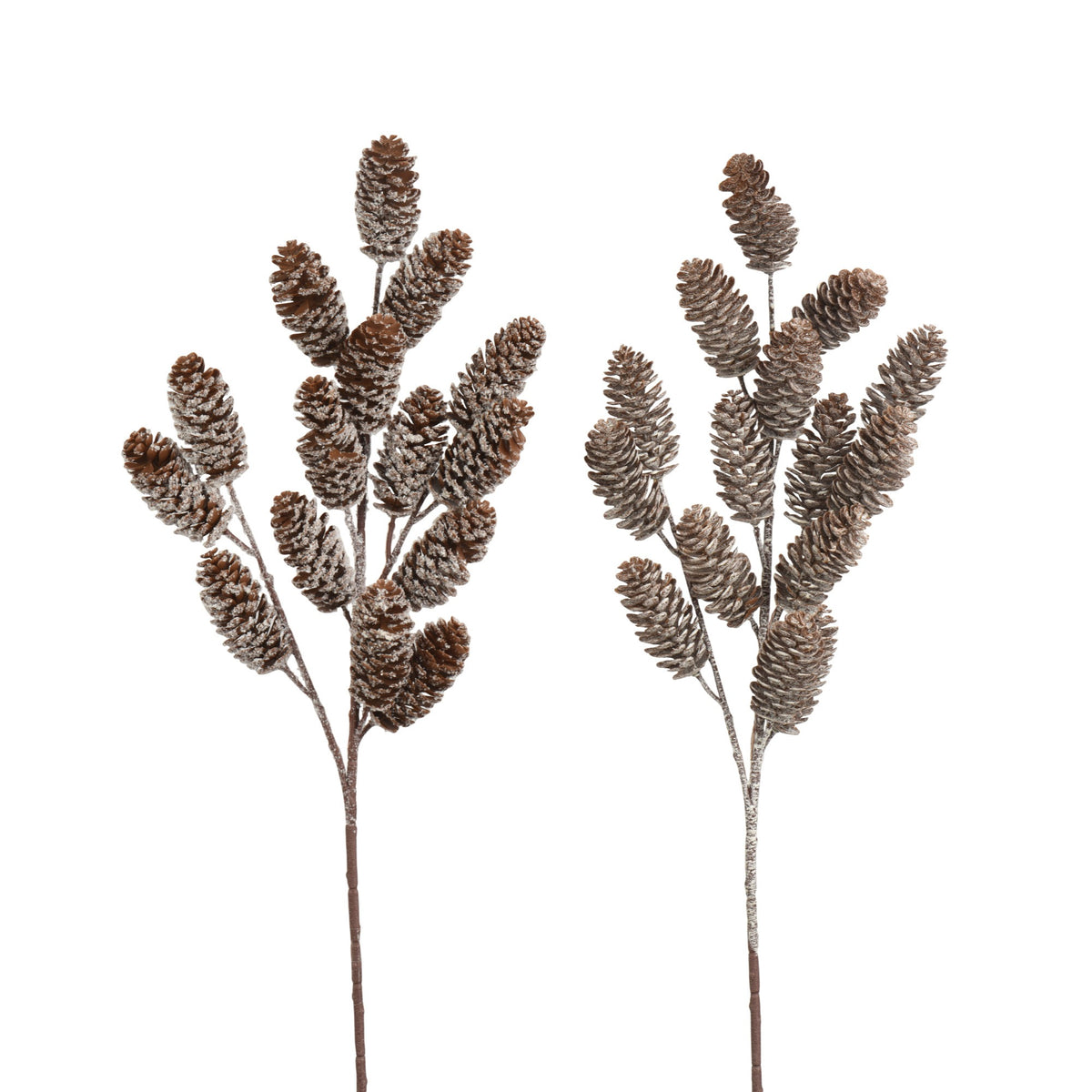 Pinecone Stem 62cm - Style Choice | Annie Mo's
