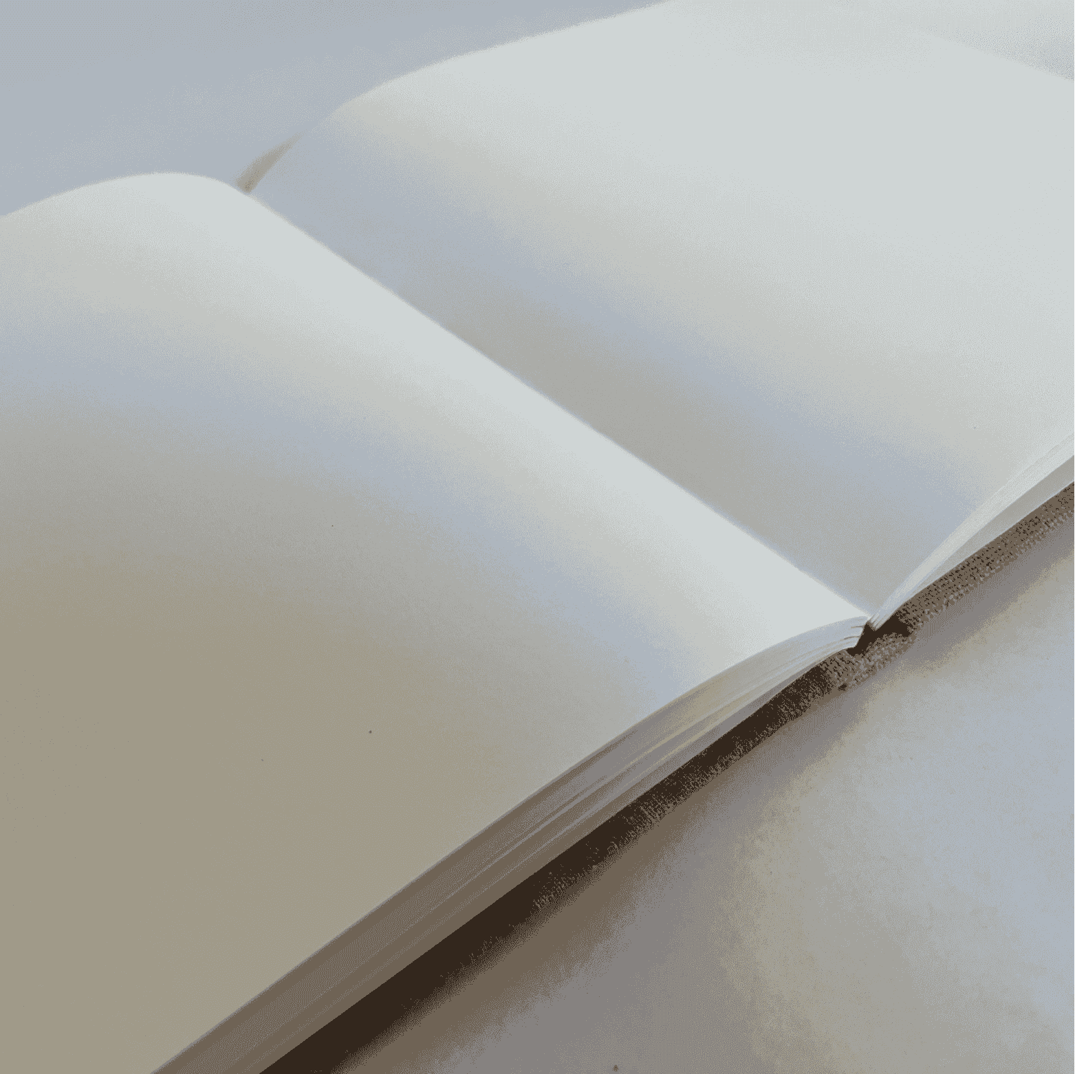 "Vintage Anemone" Handmade Linen Hardcover Notebook | Diary-D