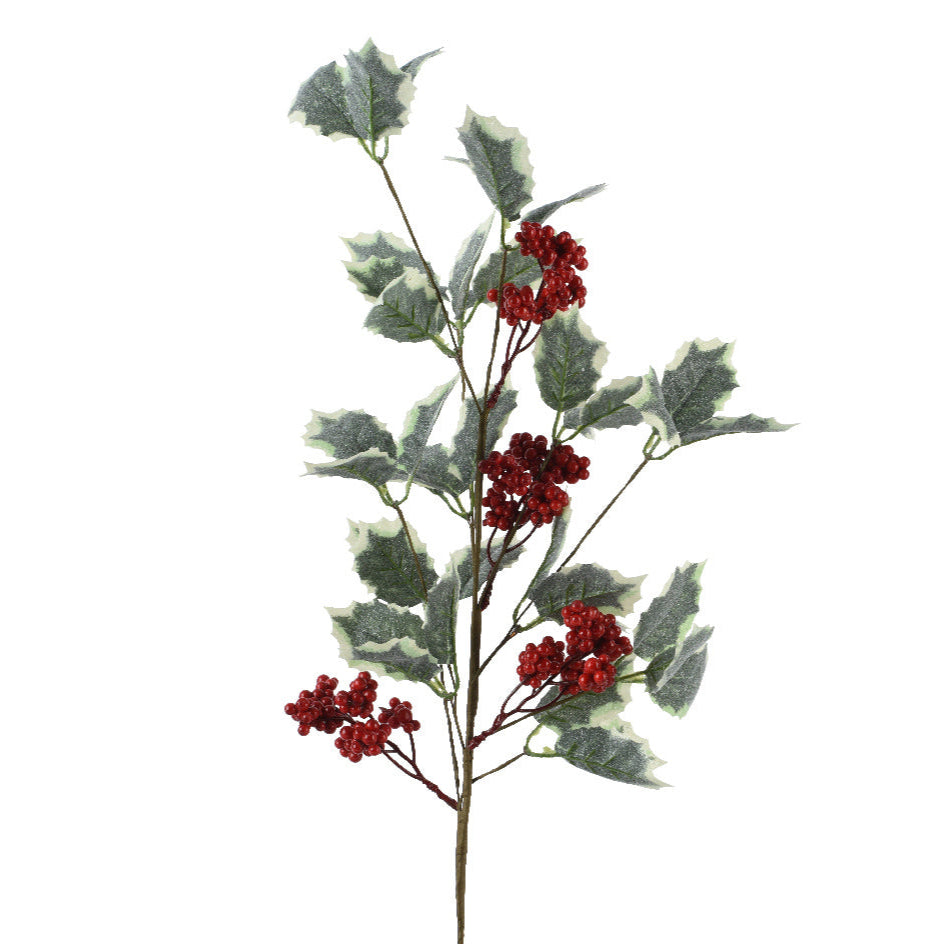 Red Berry Stem with Variegated Leaves 65cm | Annie Mo's