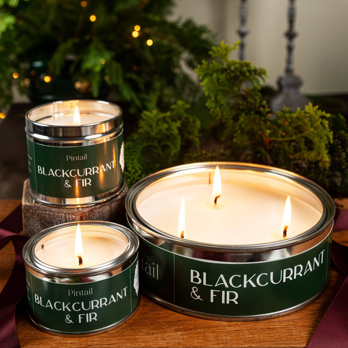 Blackcurrant & Fir Classic Tin-C