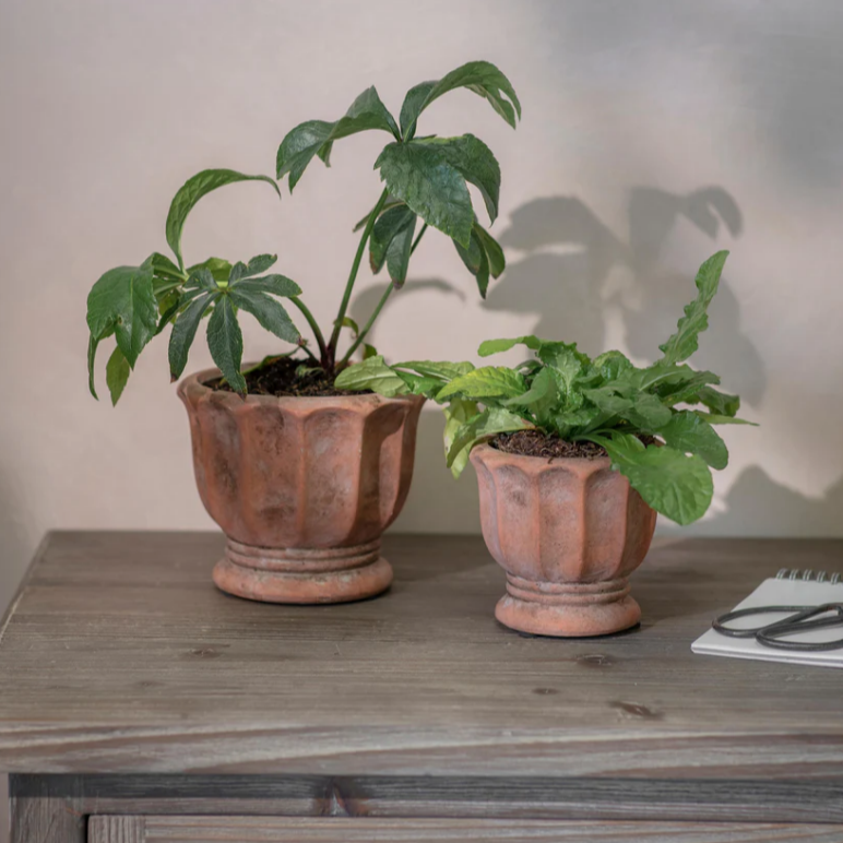 Albourne Planter - Size Choice | Annie Mo's