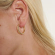 Amble Earrings Gold | Annie Mo's B