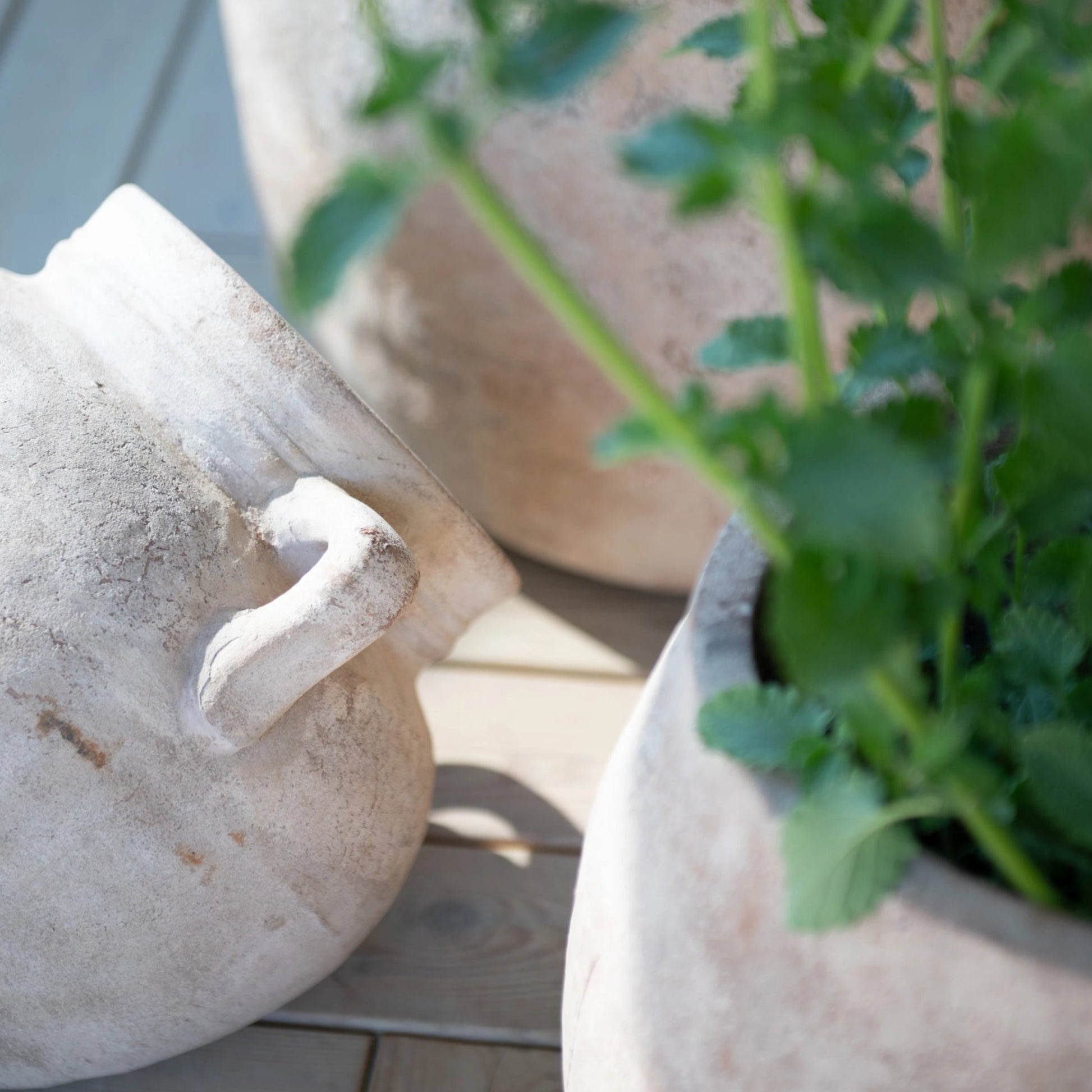 Antiqued Terracotta Katy Planter 32cm | Annie Mo's B